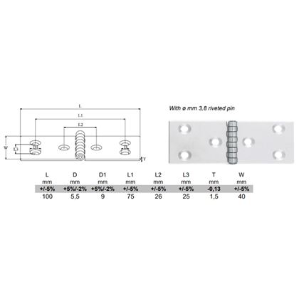 40x100 A2 EDELSTAHL 1.5mm Eckige Edelstahlscharniere