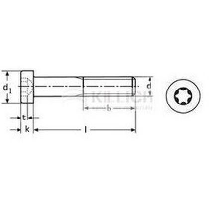 M5x10 VERZINKT 8.8 Zylinderschrauben mit TORX 25 DIN 7984