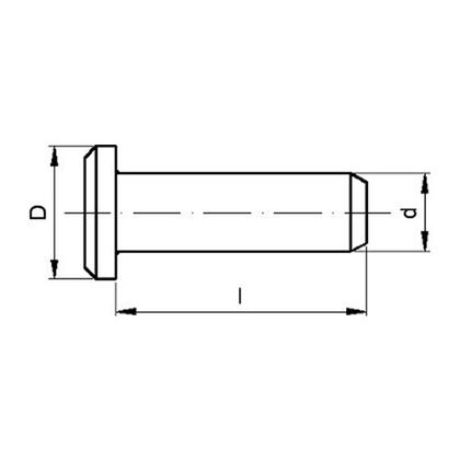 20x100 A4 EDHELSTAHL Bolzen ISO 2341 A DIN 1444 A