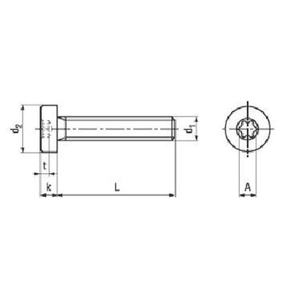 M3x5 A2 EDELSTAHL TORX 10 Zylinderschrauben mit Innensechsrund und niedrigem Kopf BN 15857