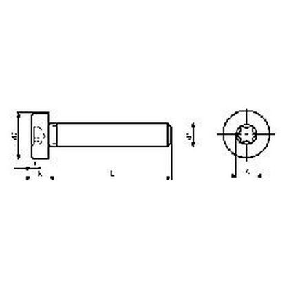 M5x10 VERZINKT 8.8 Zylinderkopf niedrig TORX 25 ISO 14580