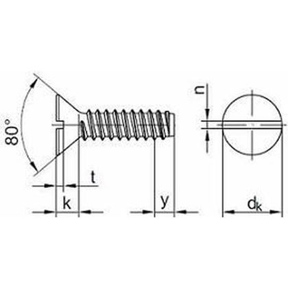 3.9x19 VERZINKT Senk-Blechschrauben mit Schlitz DIN 7972 F