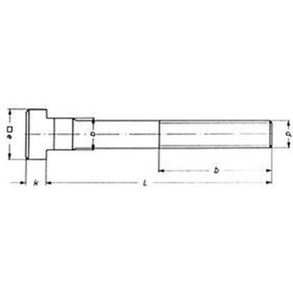 M10x10x40 BLANK 10.9 Schrauben fur T-nuten DIN 787