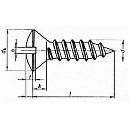 5.5x19 VERZINKT Linsensenk-Blechschrauben mit Schlitz DIN 7973