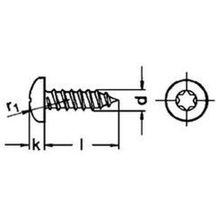 3.9x16 VERZINKT Linsen-Blechschrauben mit TORX 20 DIN 7981 ISO 14585