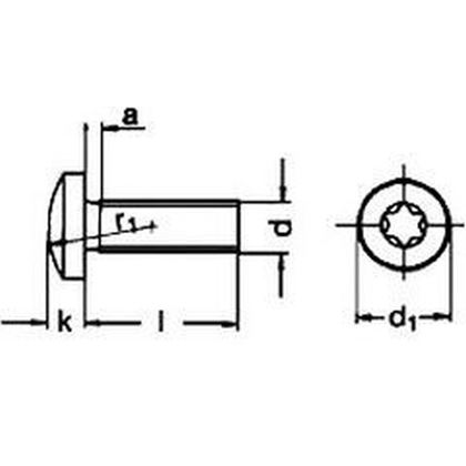 M5x20 VERZINKT 4.8 Linsenschrauben mit TORX 25 DIN 7985 ISO 14583