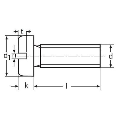 M6x40 Flachkopfschrauben mit Schlitz polyamid DIN 85