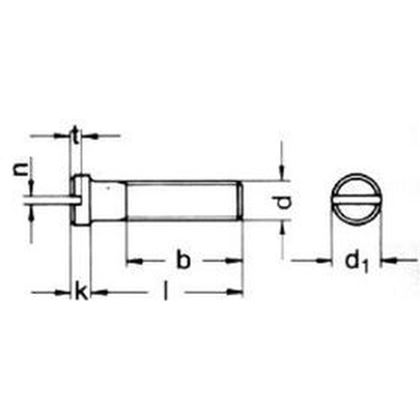 M2x6 A2 EDELSTAHL Flachkopfschrauben mit Schlitz, kleiner Kopf DIN 920