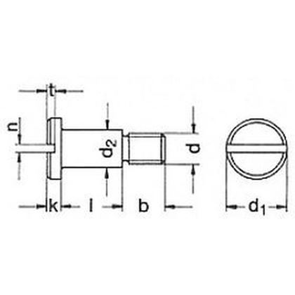 M4x2.5 BLANK 5.8 Flachkopfschrauben mit Schlitz und Ansatz DIN 923