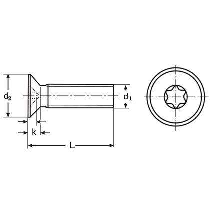 M8x35 VERZINKT 8.8 Senkschrauben mit TORX 45 ISO 14581