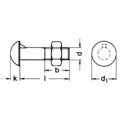 M16x35 BLANK 4.6 Halbrundschrauben mit Nase DIN 607