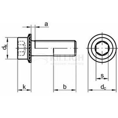 M8x25 VERZINKT cl.100 RIPP innensechskant schrauben mit Flansch