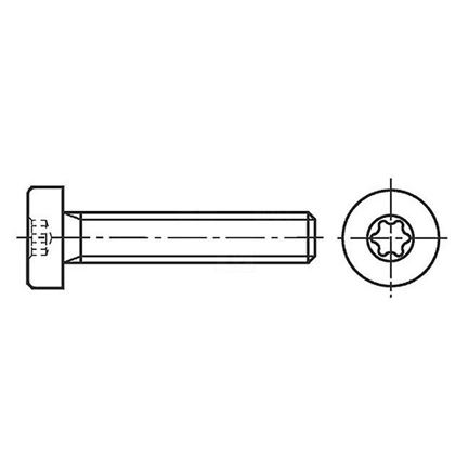 M8x20 VERZINKT 8.8 Flachkopfschrauben TORX 45 ISO 14580