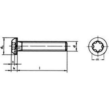 M5x30 Linsenkopfschrauben mit Innenvielzahn TORX 25 VERZINKT 10.9
