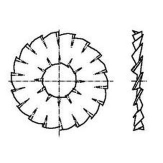 M5 d. 5.1x17.9x0.8 VERZINKT Facherscheiben, Außen und Innenverzahnung DIN 6798