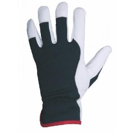 Handschuhe TECHNIK PLUS/PURPUREA Grosse 10