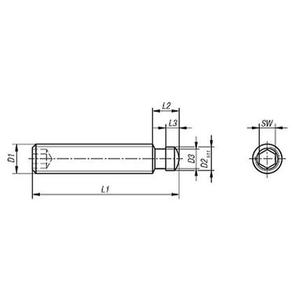 M6x30 Schlitzschraube und Pin-Schieber sechskantig DIN 6332