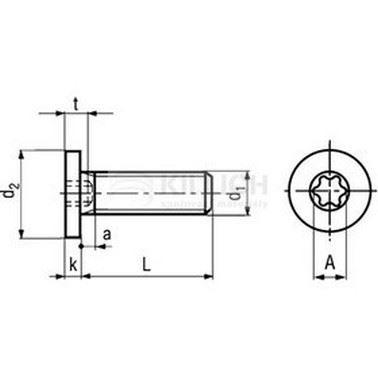 M6x16 A2 EDELSTAHL Zylinderschrauben mit TORX 30 31412.01 TORX 30