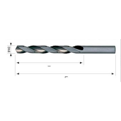 0.6 Spiralbohrer mit Zylinderschaft PN 2913