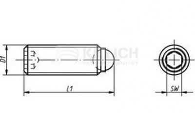 M12x28 Schlitzschraube und Pin-Schieber (Wurm) standard Frühling