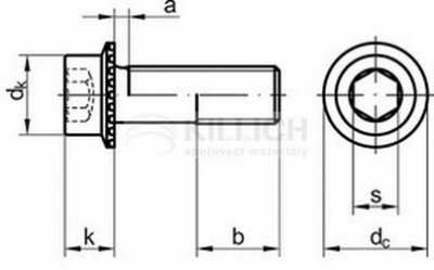 M8x16 BLANK cl.100 RIPP innensechskant schrauben mit Flansch