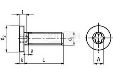 M6x10 A2 EDELSTAHL haxalobular Innensechskant und extrem niedrigem Kopf TORX BN 20146