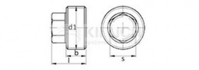 R 1/4 BLANK 5.8 Verschlussschrauben mit Bund und Aussensechskant, zylinder Gewinde DIN 909